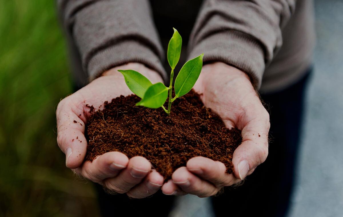 5 Motivi per scegliere Prodotti Naturali per il tuo Giardino