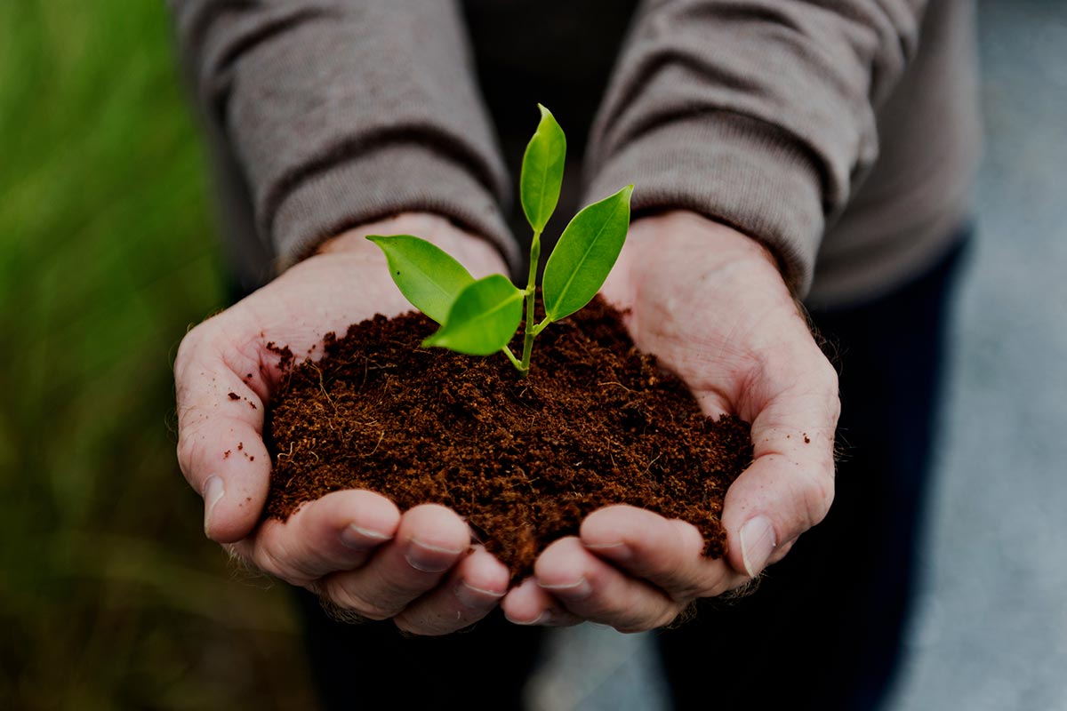 5 Motivi per scegliere Prodotti Naturali per il tuo Giardino